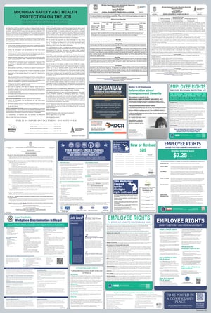 Image of 2025 Labor Law Poster